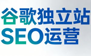 谷歌独立站SEO运营(更新2026)-全网第一网赚项目资源库-中赚网 & 中创网 & 冒泡网 & 福缘网 - 小本轻创业与优质加盟项目首选平台