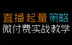 半野老师·直播带货起量与微付费必学课视频号(更新2026)-全网第一网赚项目资源库-中赚网 & 中创网 & 冒泡网 & 福缘网 - 小本轻创业与优质加盟项目首选平台