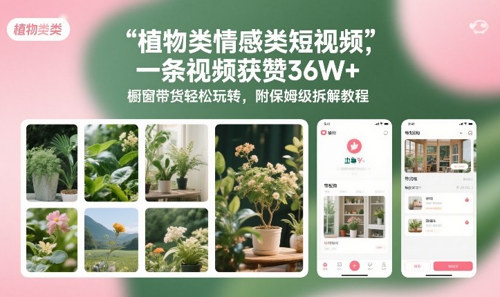 植物类情感类短视频，一条视频获赞36W+，橱窗带货轻松玩转，附保姆级拆解教程-全网第一网赚项目资源库-中赚网 & 中创网 & 冒泡网 & 福缘网 - 小本轻创业与优质加盟项目首选平台