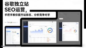 谷歌独立站SEO运营，手把手教你提升网站排名、分析竞争对手(更新2026)-全网第一网赚项目资源库-中赚网 & 中创网 & 冒泡网 & 福缘网 - 小本轻创业与优质加盟项目首选平台