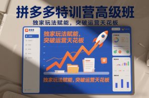 拼多多特训营高阶班，独家玩法赋能，突破运营天花板(更新26年1月)-全网第一网赚项目资源库-中赚网 & 中创网 & 冒泡网 & 福缘网 - 小本轻创业与优质加盟项目首选平台