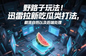 野路子玩法！迅雷拉新吃瓜类打法，截流自热以及后端处理-全网第一网赚项目资源库-中赚网 & 中创网 & 冒泡网 & 福缘网 - 小本轻创业与优质加盟项目首选平台