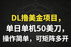 DL撸美金项目，单日单机50美刀，操作简单，可矩阵多开-全网第一网赚项目资源库-中赚网 & 中创网 & 冒泡网 & 福缘网 - 小本轻创业与优质加盟项目首选平台