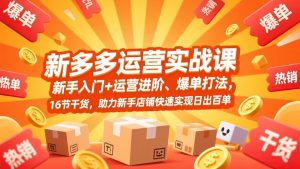 拼多多运营实战课，新手入门+运营进阶、爆单打法，16节干货，助力新手店铺快速实现日出百单-全网第一网赚项目资源库-中赚网 & 中创网 & 冒泡网 & 福缘网 - 小本轻创业与优质加盟项目首选平台