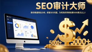 SEO审计大师：教你精通网站分析，修复SEO问题，为有效的审核收费5000美元以上！-全网第一网赚项目资源库-中赚网 & 中创网 & 冒泡网 & 福缘网 - 小本轻创业与优质加盟项目首选平台