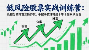 低风险股票实战训练营：低估分散排雷三箭齐发，手把手教你构建十年十倍永续组合-全网第一网赚项目资源库-中赚网 & 中创网 & 冒泡网 & 福缘网 - 小本轻创业与优质加盟项目首选平台